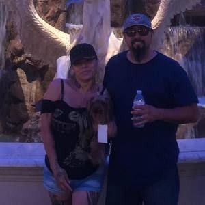 Meet your Posher, Dymphna